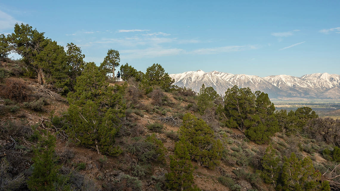 Pinyon Trail