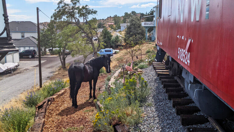 ruby caboose virginia city, uncommon overnighter, unique places to stay Nevada