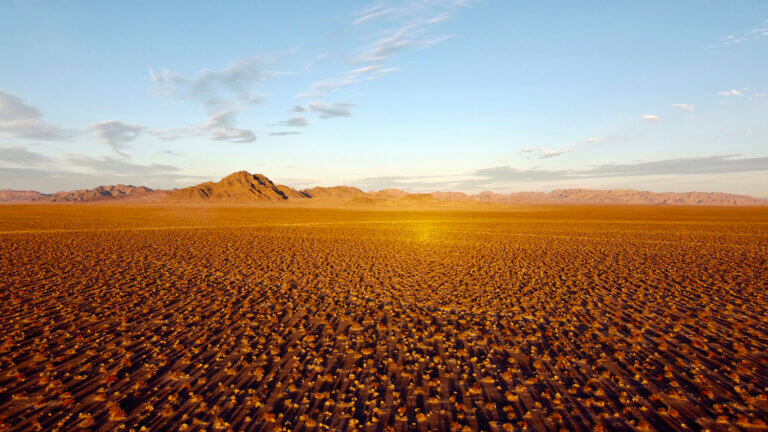 Tarantula ranch, Amargosa Valley, Death Valley Hotels, Uncommon Overnighters, Unique places to stay Nevada