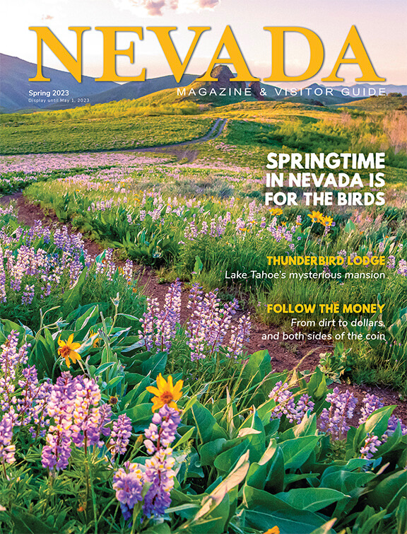 Travel Nevada Spring Visitor Guide - Wildflowers