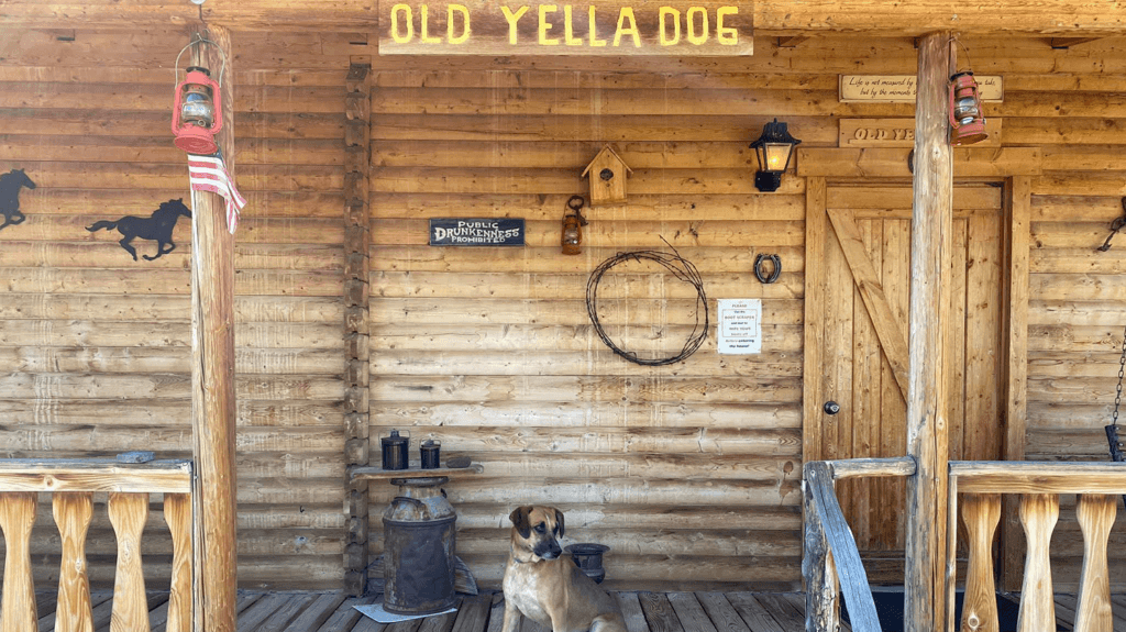 Old Yella Dog Ranch in Vya 
