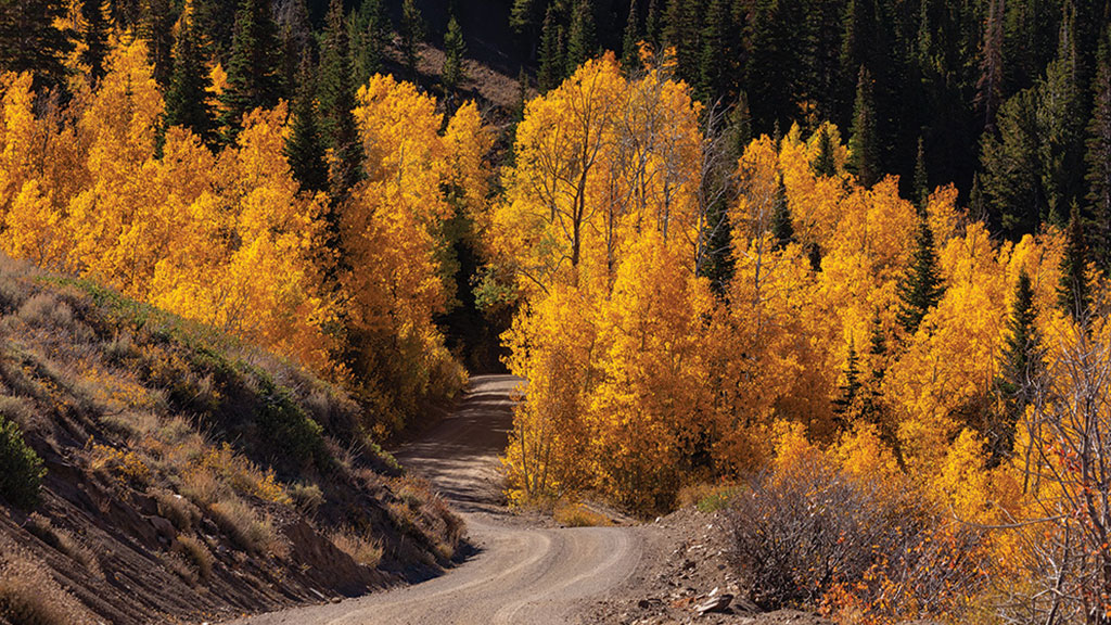 Copper Basin