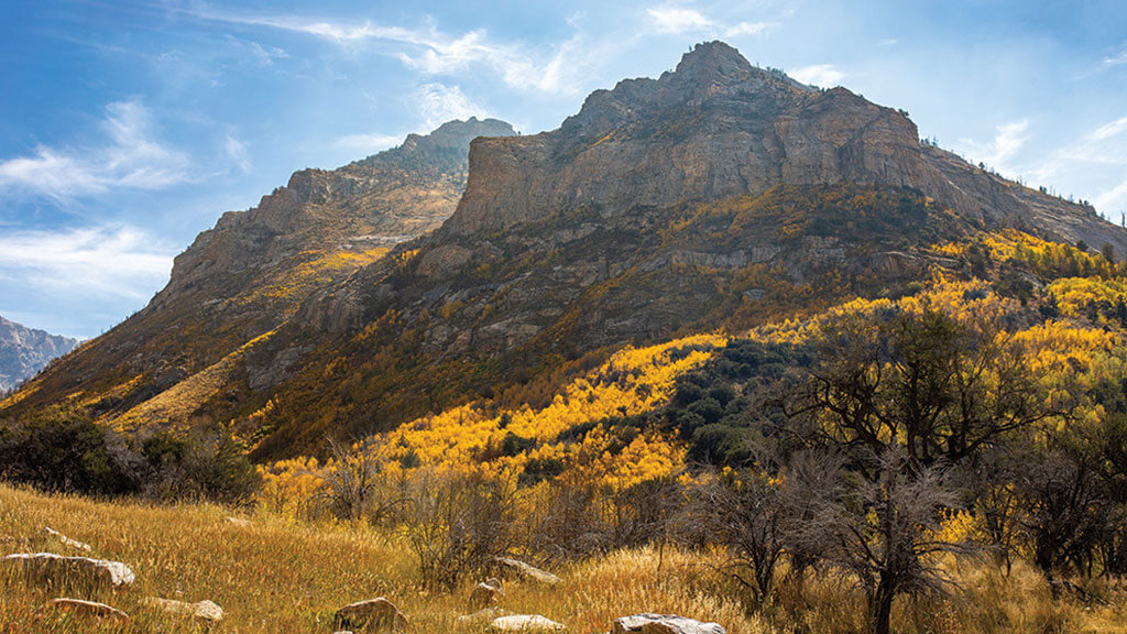 Lamoille Canyon