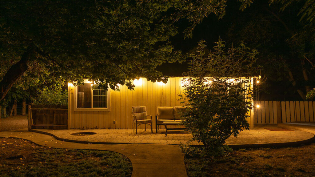 nighttime exterior of yellow petal flower farm fallon nevada