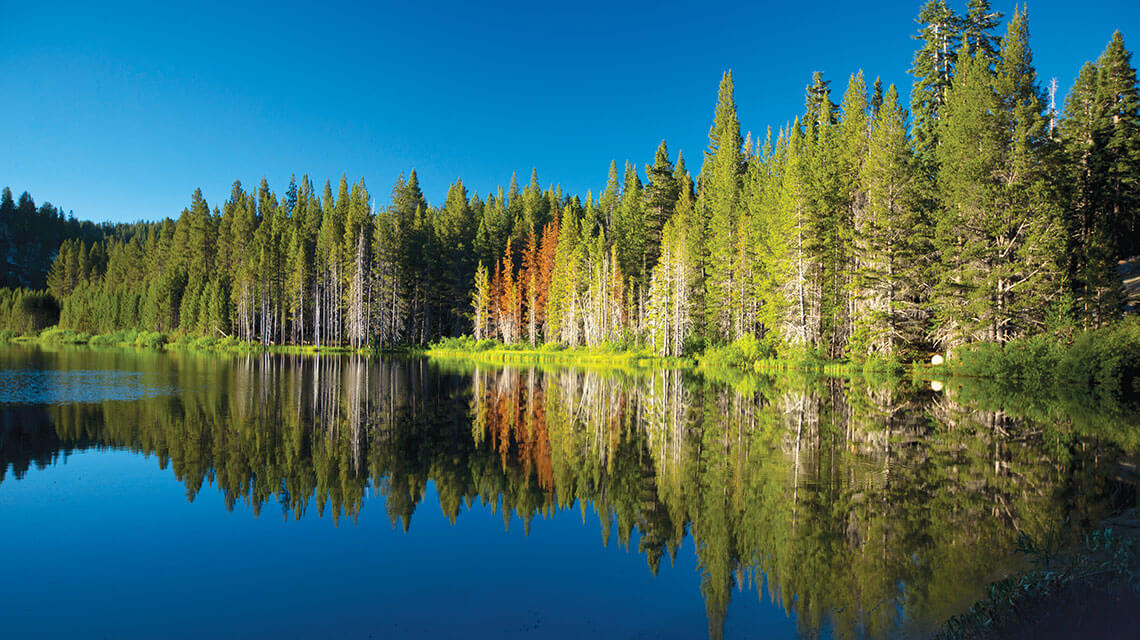 Cool Down at Nevada’s Lesser-Known, Backcountry Lakes