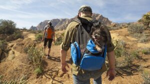 hiking with dog in nevada