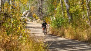 Cycling and Mountain Biking