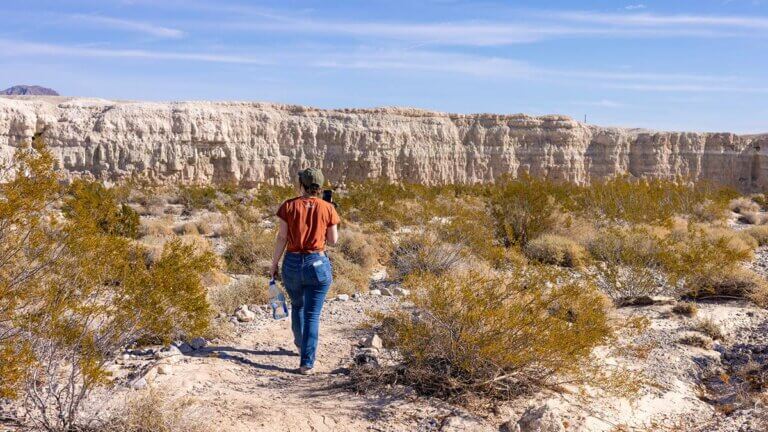 ice age fossils state park in las vegas nevada