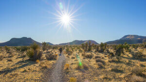 Hiking in Nevada
