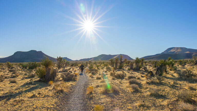 late night trail system blue diamond hiking near las vegas nv
