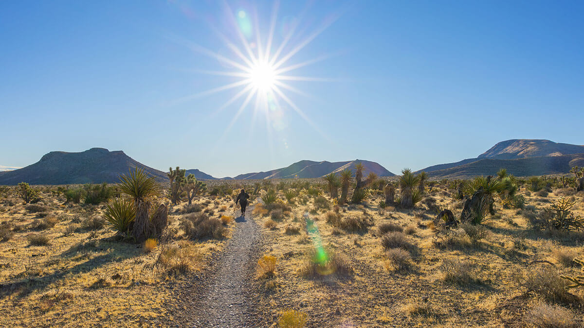 Best Hiking in Nevada | Discover Hiking Trails in Nevada
