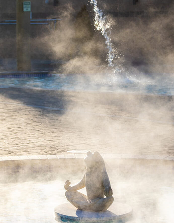carson city hot springs