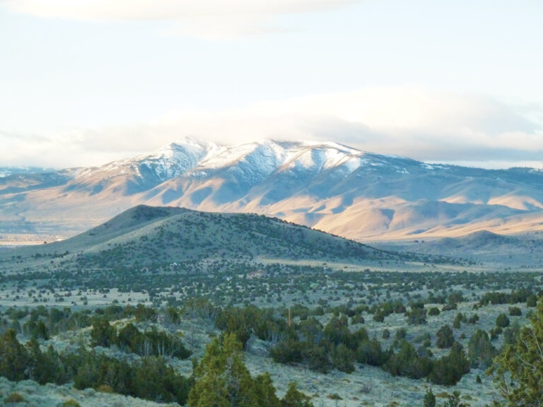 Michael Branch: For the love of the Great Basin