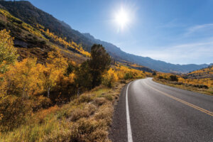 Road in Lamoille Canyon.