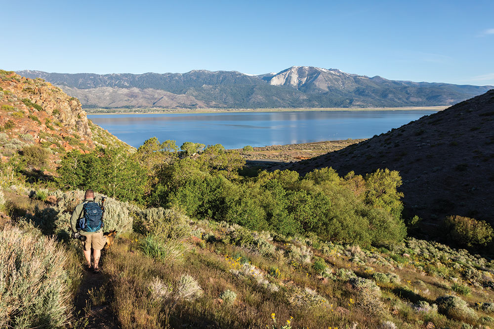 A man hikes with his dogs above Washoe Lake