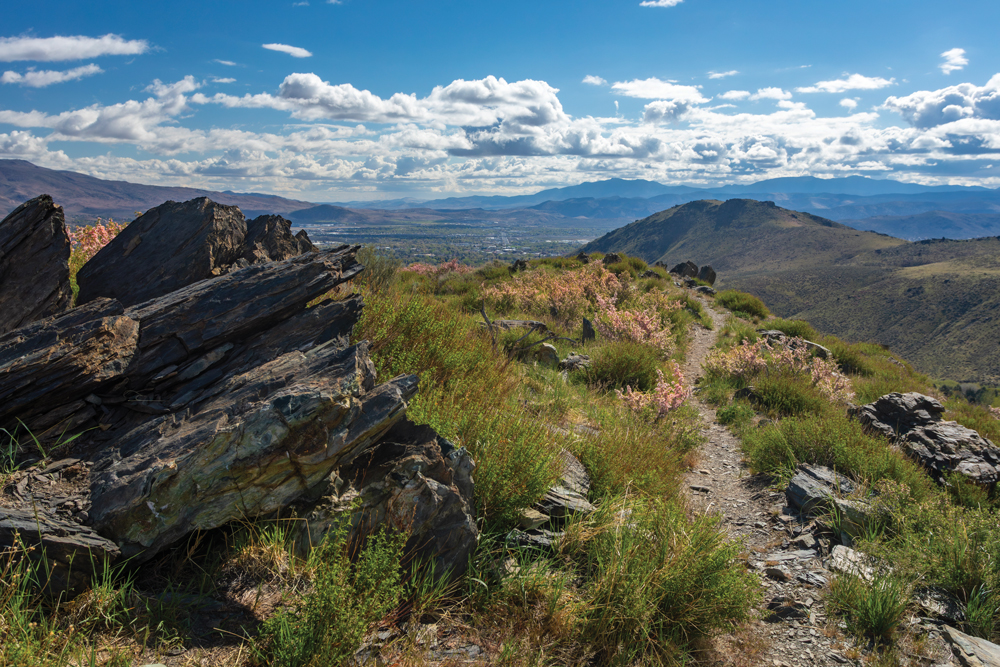 A dirt path with flowers blooming on top of a hill above Carson City.