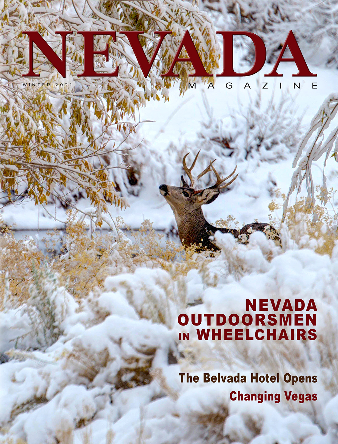 Cover for Winter 2021