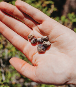 Person holding garnets in their hand at Garnet Hill.