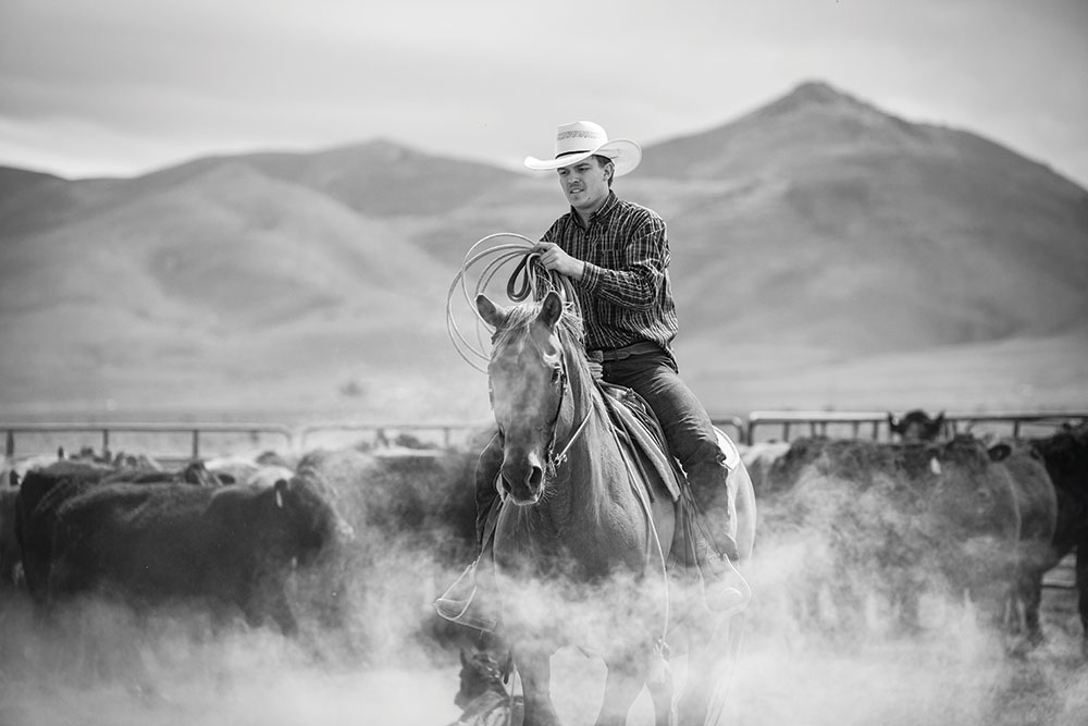 A black and white image of a cowboy among cattle, with steam rising around him