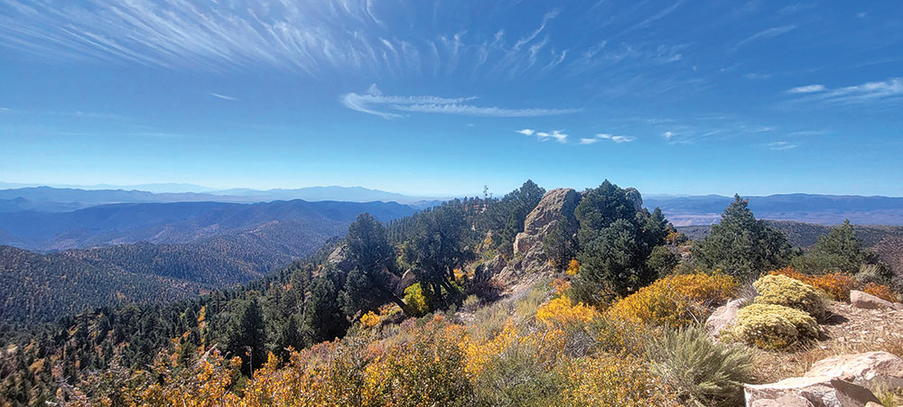 Ella Mountain, with flowering sage in the foreground, there are layers of mountains in the distance.