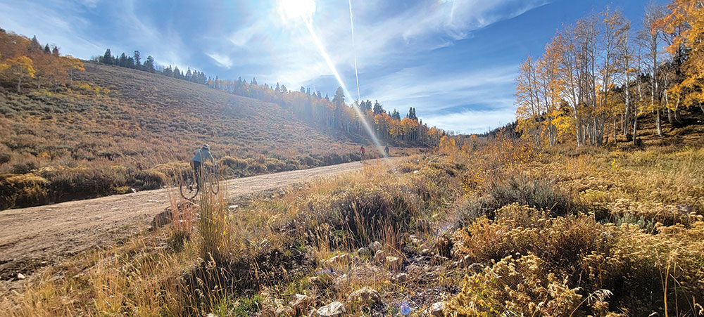 Mountain bikers ride along a dirt road through Cave Lake State Park in the fall