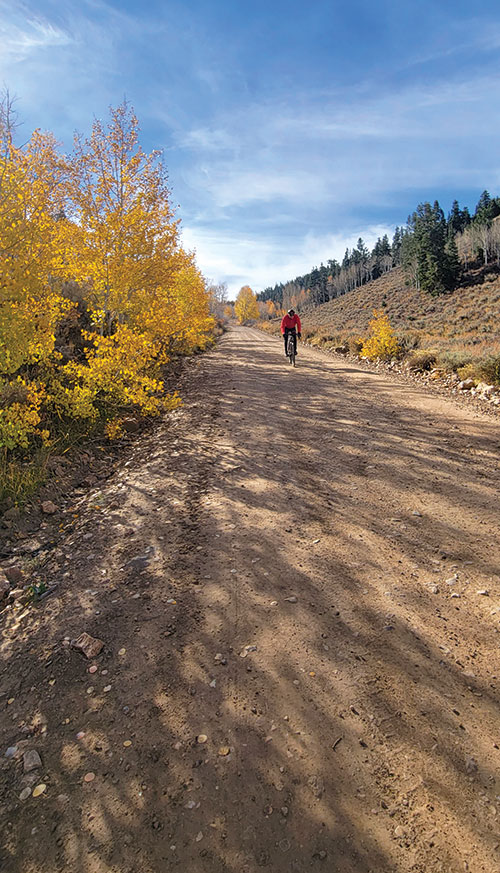 A mountain biker rides along a dirt road through Cave Lake State Park in the fall