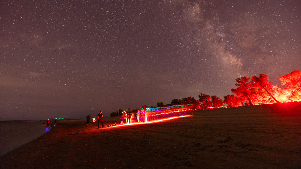 Cosmos in the Desert | Lahontan State Recreation Area