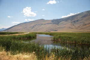 Waterway at Ruby Lake National Wildlife Refuge.
