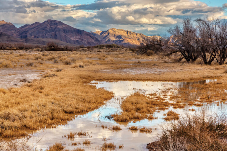 Ash Meadows National Wildlife Refuge