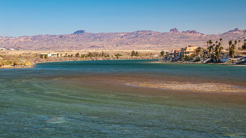 A view of the river in Big Bend of the Colorado State Recreation Area, with houses and palm trees on the right, and camping area on the left. Mountains in the distance.