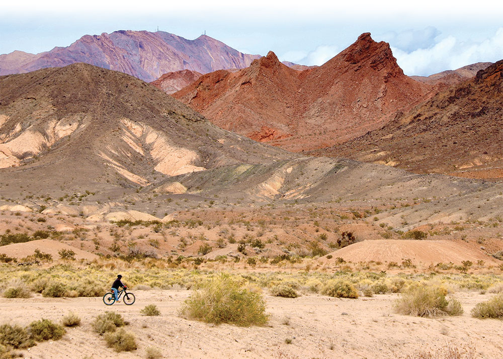 A person riding a bicycle in Clark County Wetlands Park