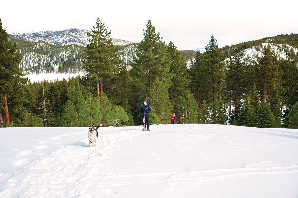 Two women snowshoe up a hill while a very happy dog runs through the snow toward the camera. Lots of pine trees behind them, with a snowy meadow, Highway 50, and snowy mountains are in the background.
