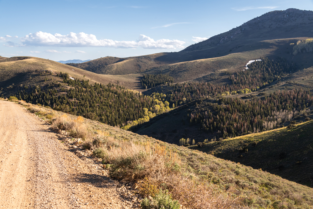 Landscape of Success Loop.
