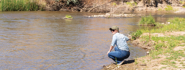 Walker River State Recreation Area