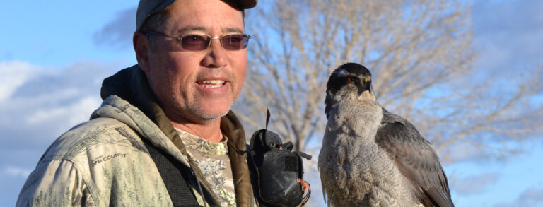 Falconry Family