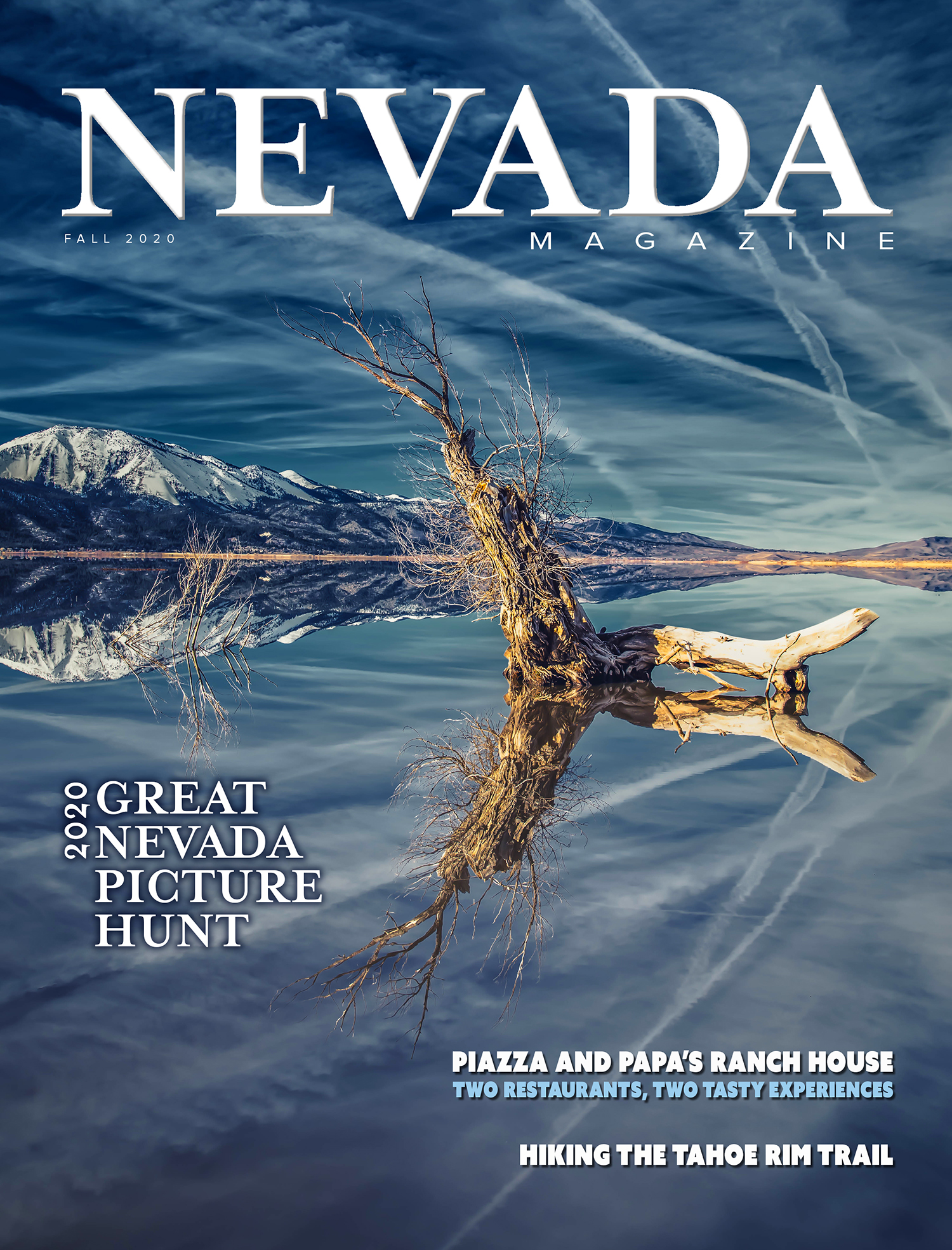 Cover for Fall 2020