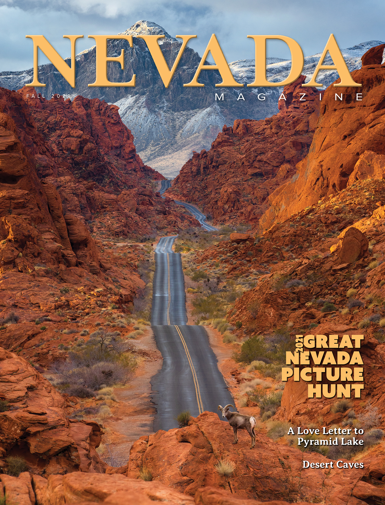 Cover for Fall 2021