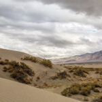 Winnemucca Sand Dunes.