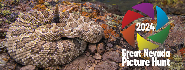 2024 Great Nevada Picture Hunt Results