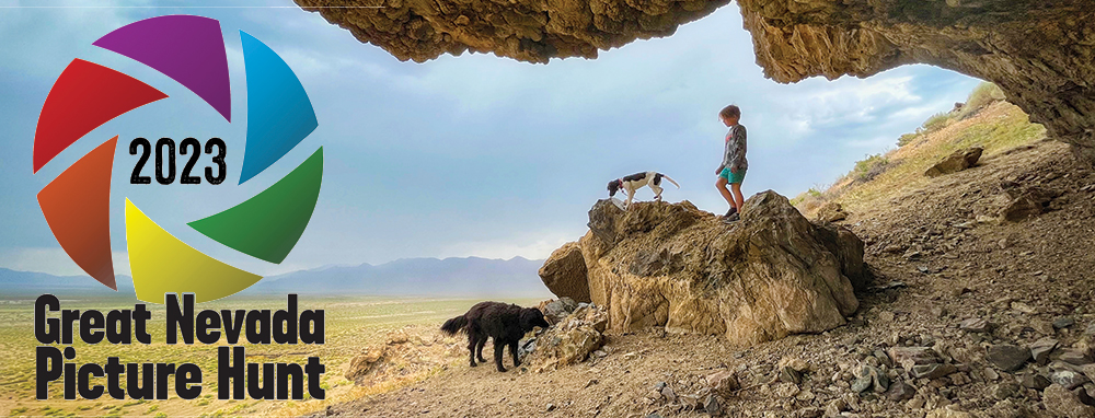 2023 Great Nevada Picture Hunt Results