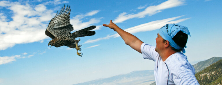 HawkWatch International