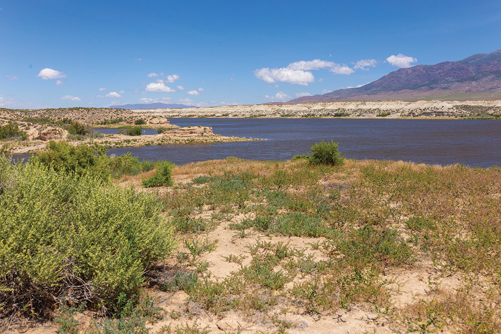 Rye Patch Reservoir, with a lot of green scrub along the shoreline, mountains in the distance, and puffy white clouds in a blue sky.