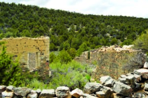 Stone ruins stand silently amid dense green forest, framed by a rocky foreground.