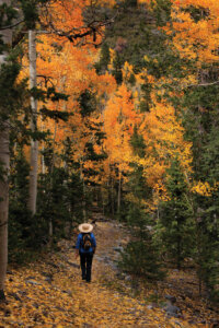 Person walking along the Lehmen Creek Trail at Great Basin National Park.