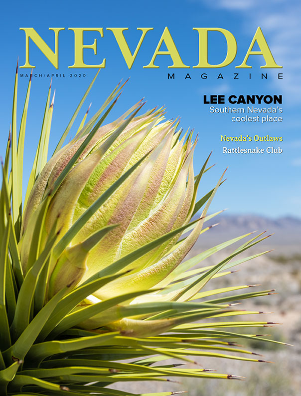 Cover for March – April 2020
