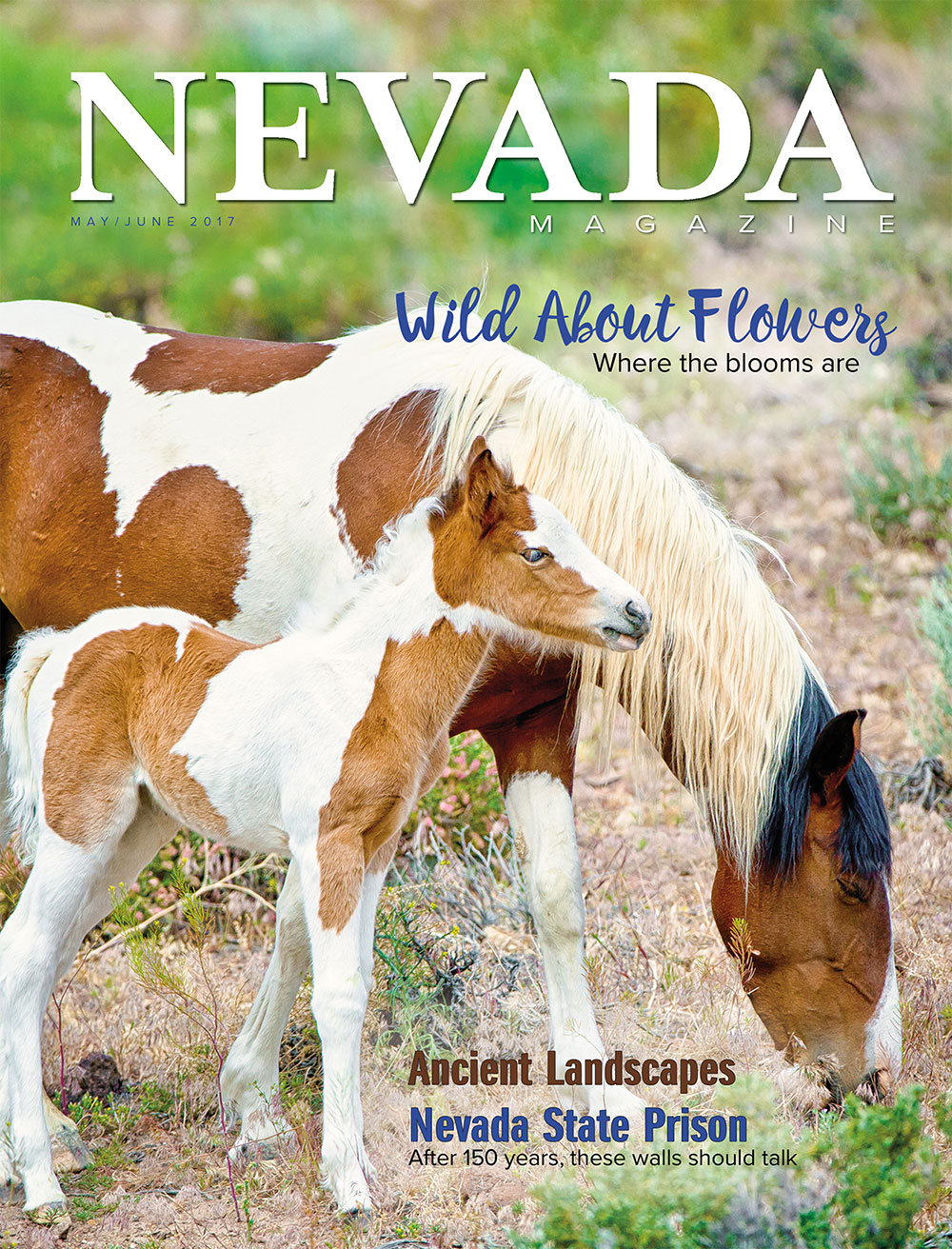Cover for May – June 2017