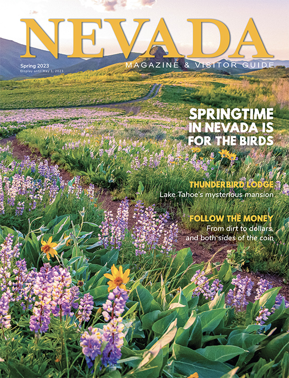 Spring 2023
