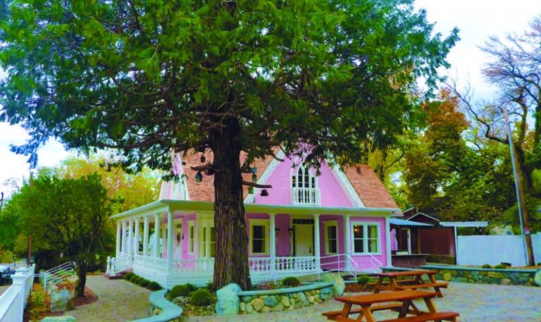 The Pink House