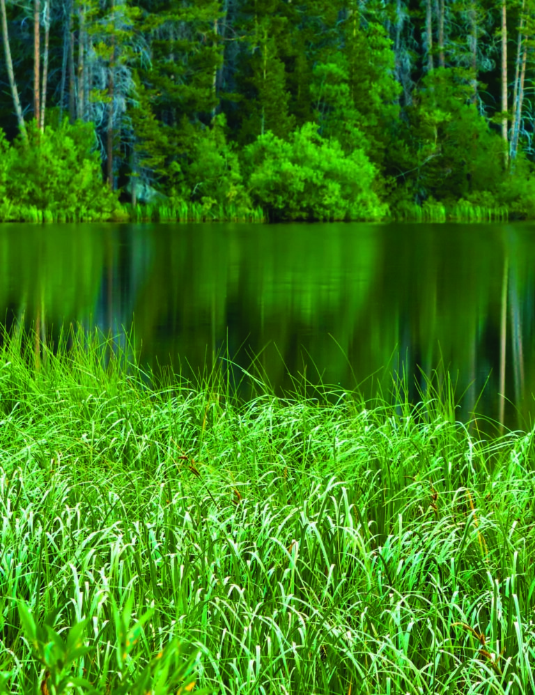 Backcountry Lakes