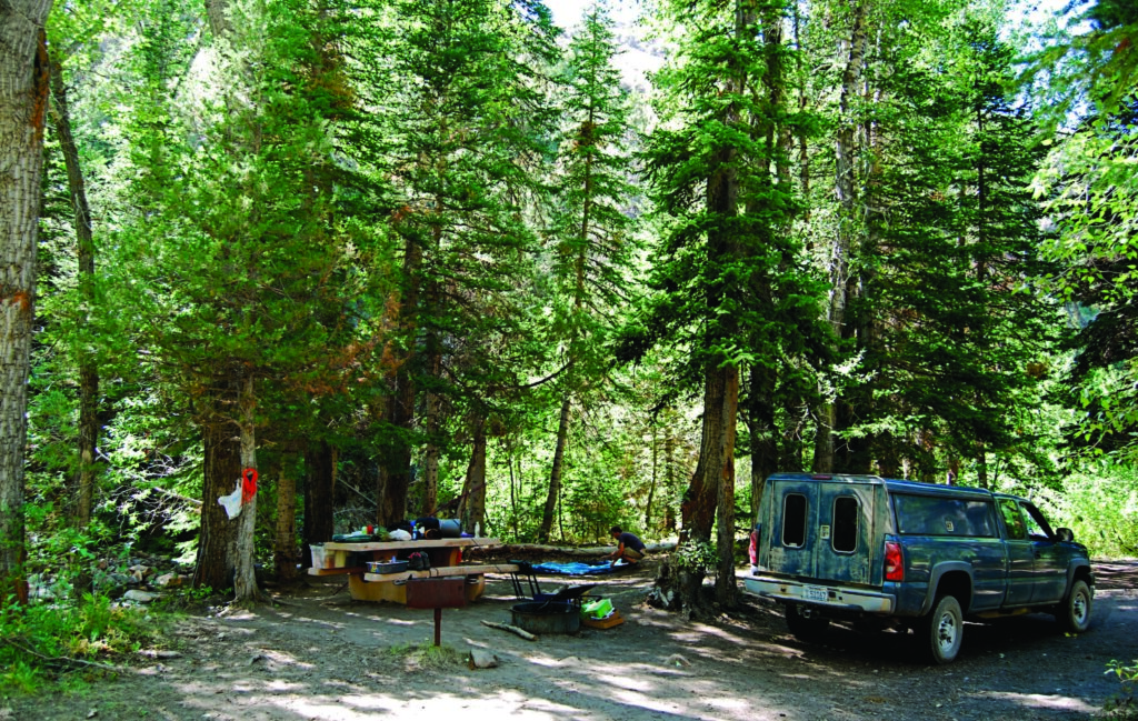 A truck is parked in a forest campsite beside a picnic table and grill with supplies scattered around.